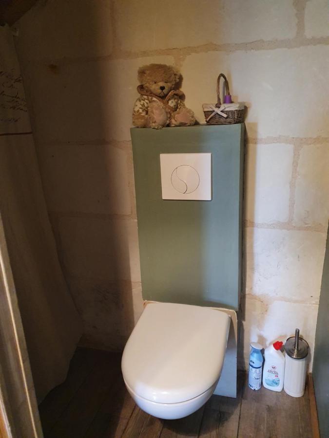 Gite Du "Chat Botte" Zoo De Beauval Chateaux De La Loire 4 Pers Choussy Dış mekan fotoğraf